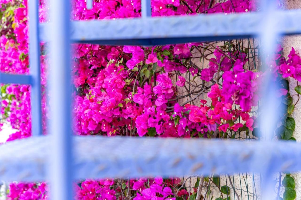 Casa Azzurra Apartment เมสซีนา ภายนอก รูปภาพ